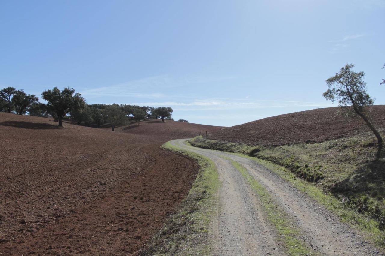 Monte Bandarro Novo, Country House Villa Cercal do Alentejo Eksteriør billede